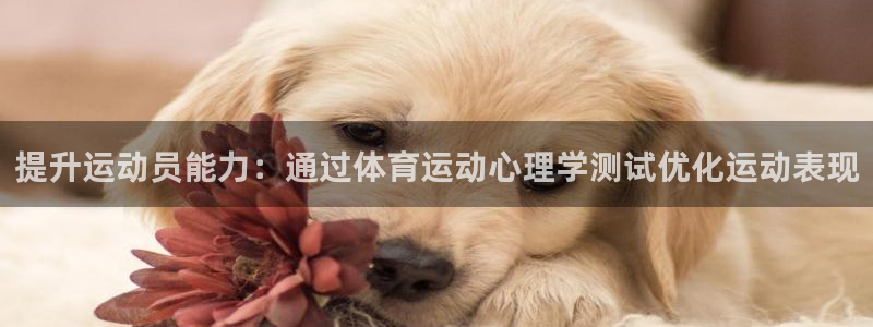 提升运动员能力：通过体育运动心理学测试优化运动表现