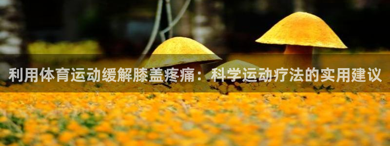 利用体育运动缓解膝盖疼痛：科学运动疗法的实用建议