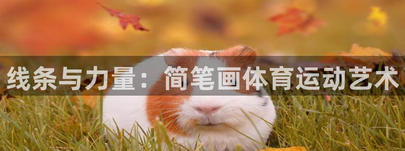 线条与力量：简笔画体育运动艺术
